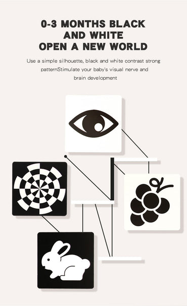 Black and White Flashcards for Newborn 0-3 months