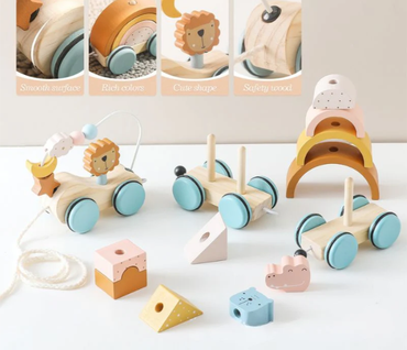 Animal Block Shape Matching & Bead Sorting Train