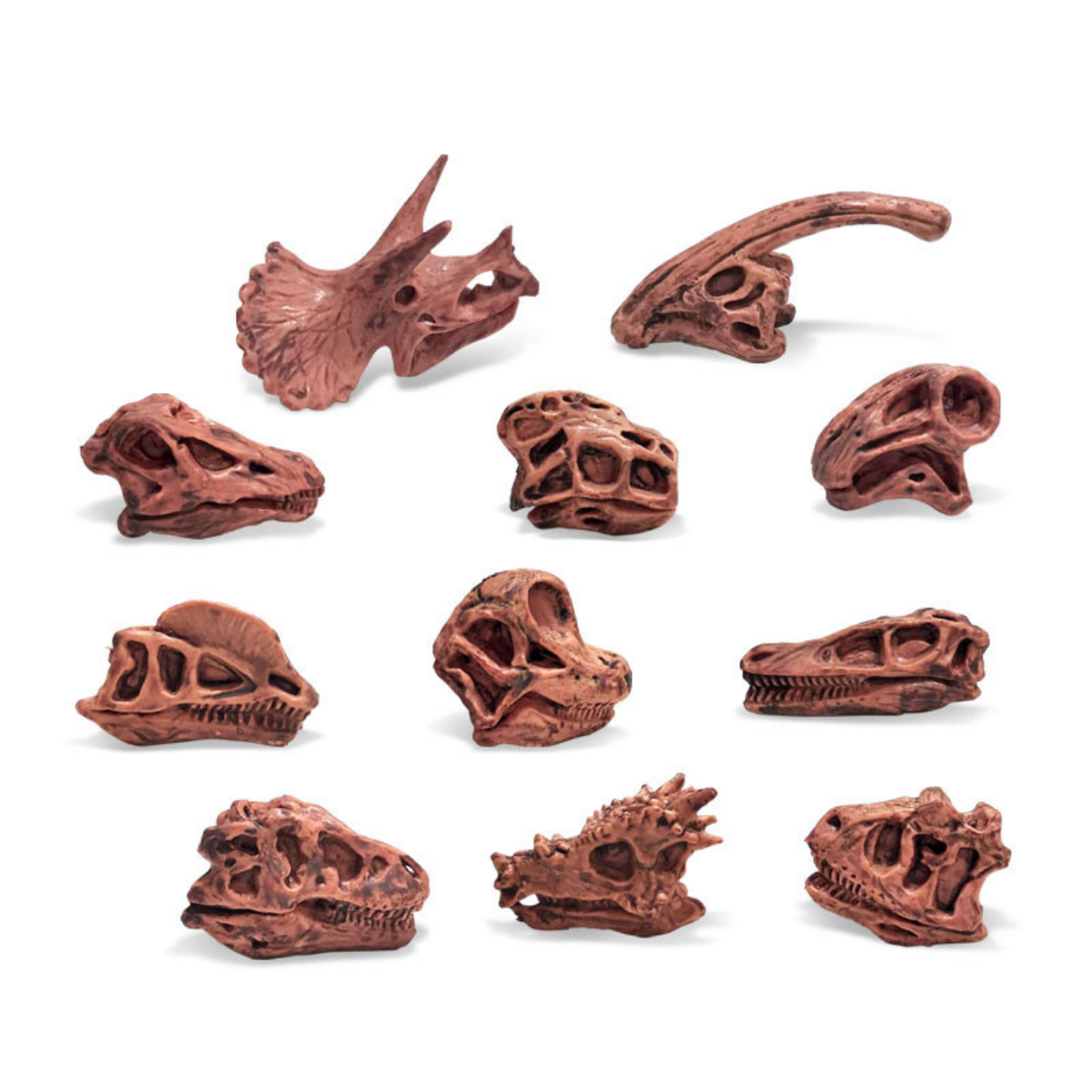 Dinosaur Skull Set – 11-Piece Realistic Fossil Mini Figurine Collection
