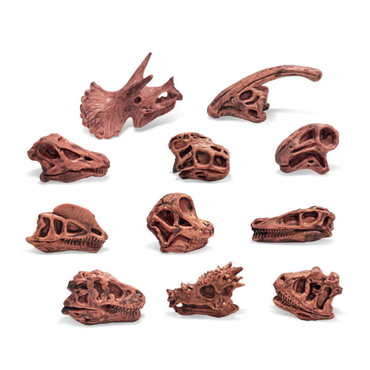 Dinosaur Skull Set – 11-Piece Realistic Fossil Mini Figurine Collection