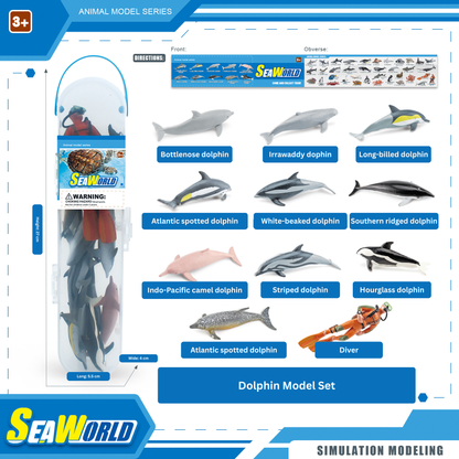 Seaworld dolphin model set packaging with dolphin illustrations on a white background