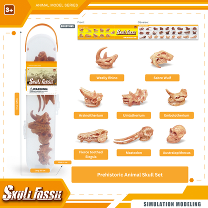 Prehistoric Animal Skull Set – 8-Piece Ancient Fossil Mini Figurine Collection
