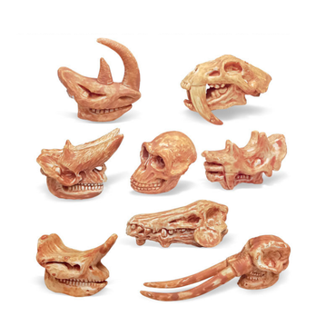 Prehistoric Animal Skull Set – 8-Piece Ancient Fossil Mini Figurine Collection