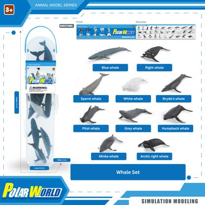 Polar World whale model set with packaging and whale illustrations on a white background