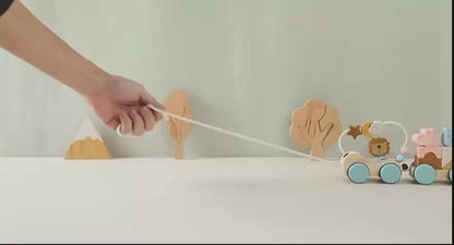 Animal Block Shape Matching & Bead Sorting Train